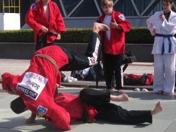 Bilder aus 2011